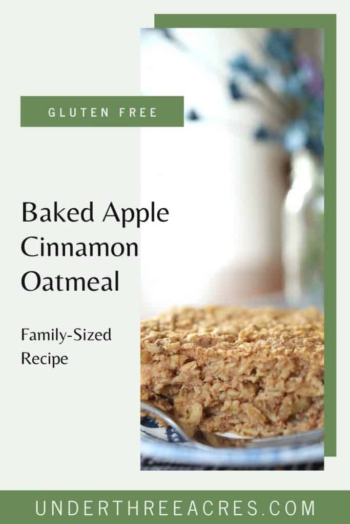 baked oatmeal pin