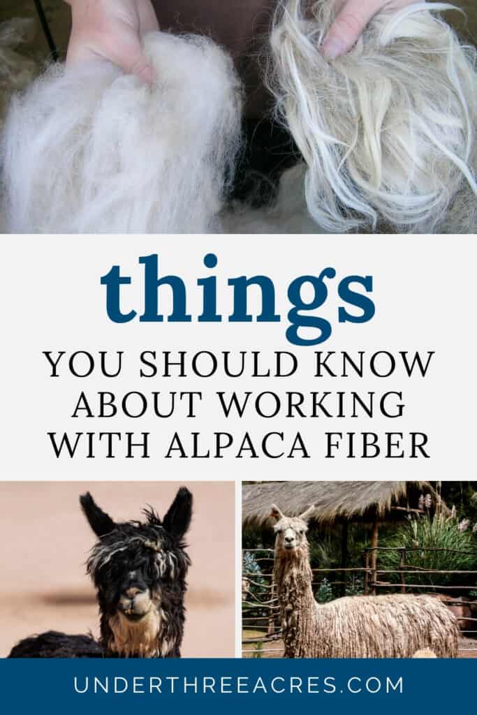 alpaca fiber collage pin