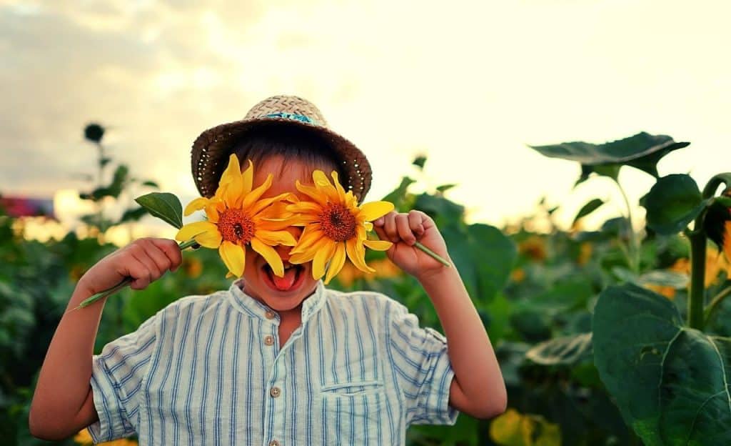 boy with sunflowers
