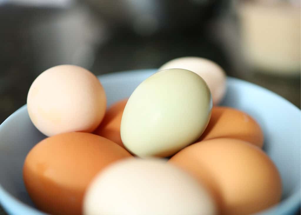 colored eggs